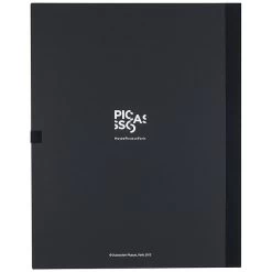 Carton à Dessins Picasso Violon -Décoration Soldes 24337 xl