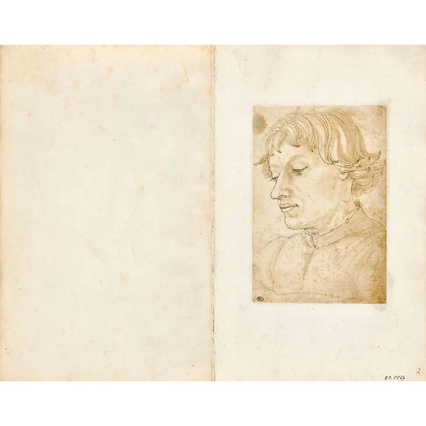 L'album Des "Disegni Di Antonio Pallaiuolo(?) 1429-1498" 5 L'album Des "Disegni Di Antonio Pallaiuolo(?) 1429-1498" – Image 3