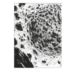 Léonard 2 Vinci -Décoration Soldes 43018 xl