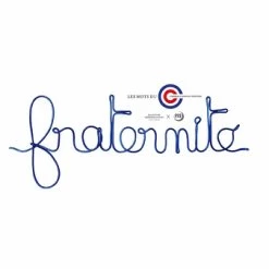 Les Mots Du Conseil Constitutionnel - Fraternité Bleu