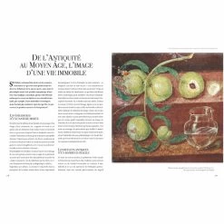 Les Plus Belles Natures Mortes - Une Histoire Des Choses De La Préhistoire à Nos Jours -Décoration Soldes 80130 xl