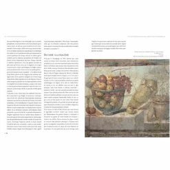 Les Plus Belles Natures Mortes - Une Histoire Des Choses De La Préhistoire à Nos Jours -Décoration Soldes 80131 xl