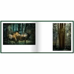 Lettres à Rosa B. -Décoration Soldes 81769 xl