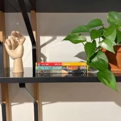 Pourquoi C'est Connu ? Le Fabuleux Destin Des Grandes Icônes Du XIXe Siècle -Décoration Soldes 81996 xl