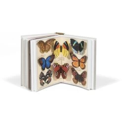 Muséum Pop Up : Une Visite Au Jardin Des Plantes De Paris -Décoration Soldes 86840 xl